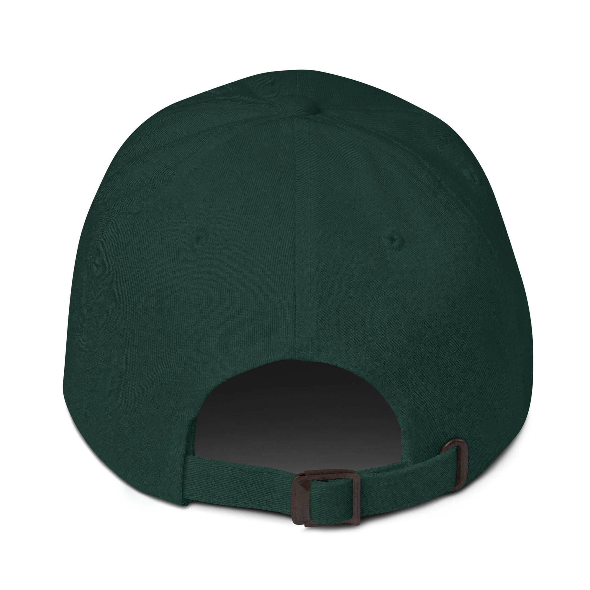 Excuse Cap — spruce back